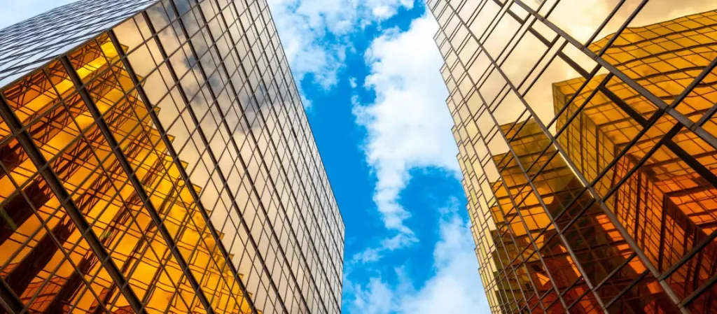 Business valuation expert analysing Adelaide business financials